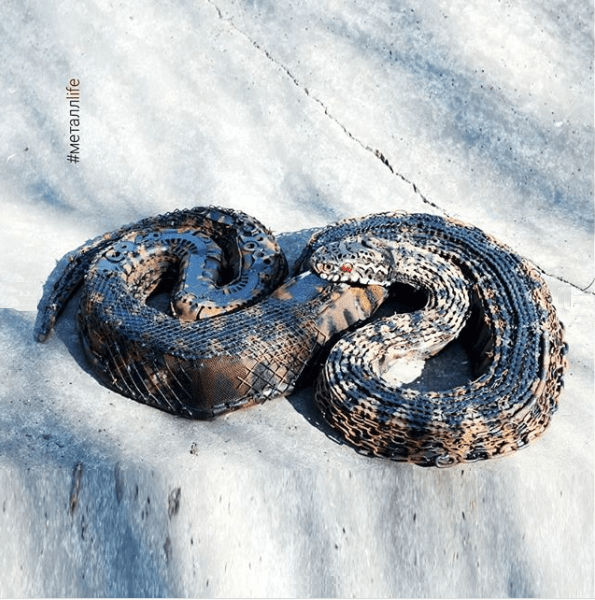 Металлическая змея