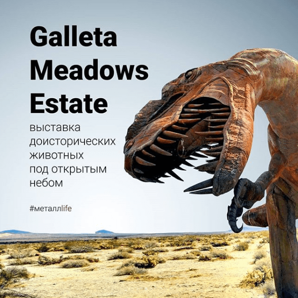 Выставка Galleta Meadows Estate